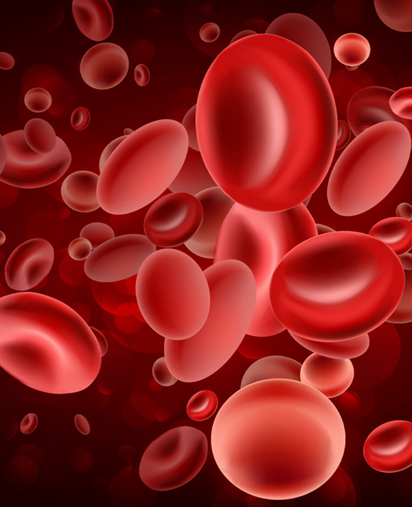 Platelet-Rich Fibrin-oral-surgery Platelet-Rich Fibrin-oral-surgery